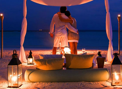honeymoon tours packages in india